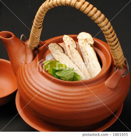 松茸 松茸蘑菇 土茶壺 1801935