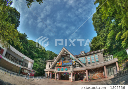 Takao Yamaguchi 1802536