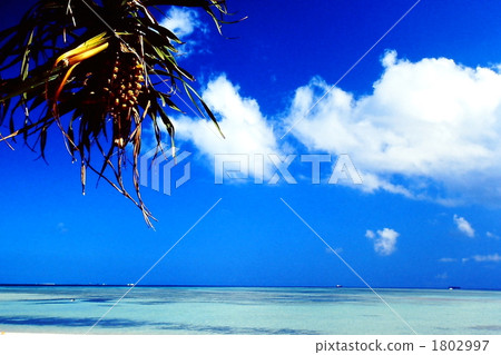 blue water, marine, maritime 1802997