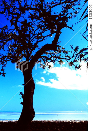 secondary, blue water, ocean 1803005