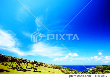 南國 南方島嶼 南方 1803067