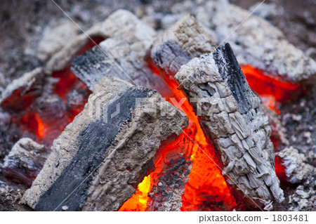 Charcoal grill 1803481