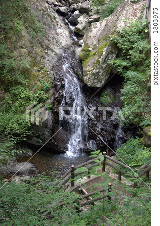 White boar waterfall White boar waterfall 1803975