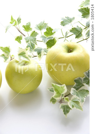 Ivy and yellow apple Ivy and yellow apple 1805414