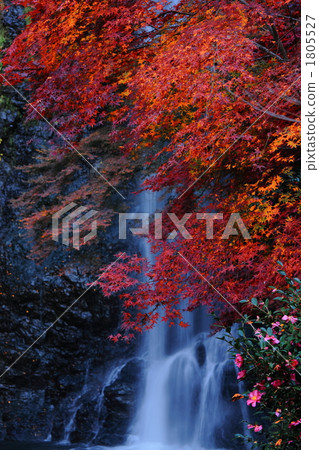 Autumn leaves and waterfall 1805527