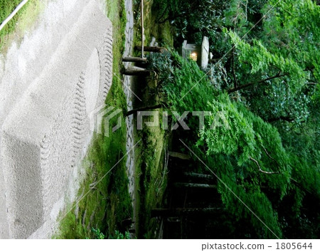 Hakodate's white sandstarch Hakodate's white sandstarch 1805644