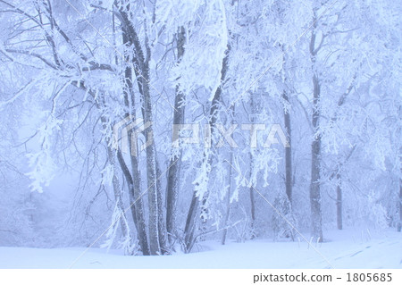 A tree A tree 1805685