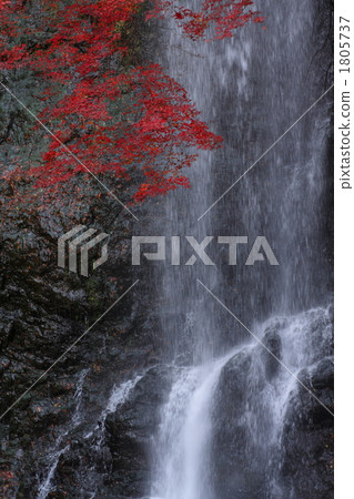 Autumn leaves and waterfall 1805737