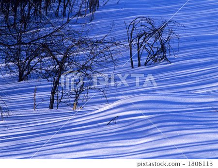 Flowing shade of Ⅱ 1806113