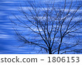 Winter trees Ⅱ 1806153