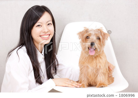Puppies and girls 1806996