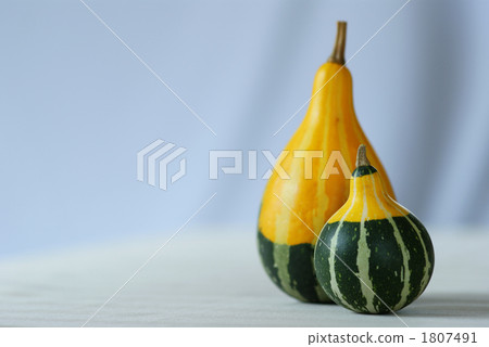 Pepo南瓜_ tomoan南瓜 1807491