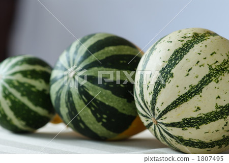 Pepo-pumpkin _ tomoan pumpkin Pepo-pumpkin _ tomoan pumpkin 1807495