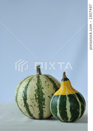 Pepo-pumpkin _ tomoan pumpkin Pepo-pumpkin _ tomoan pumpkin 1807497