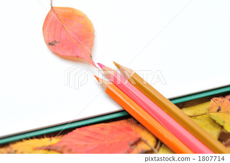 Autumn fallen leaf frame. 1807714