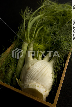 胡蘿蔔或歐芹 小茴香 香草 1808053