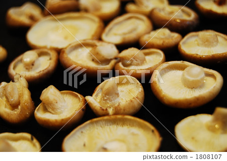 椎茸 鐵板燒 鐵板燒（在熱板上烤菜） 1808107