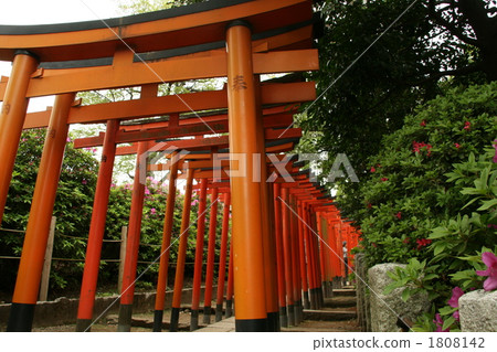 鳥居 鳥居門 寺 1808142
