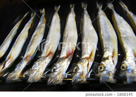 pregnant shishamo, mallotus villosus, shishamo smelt 1808145