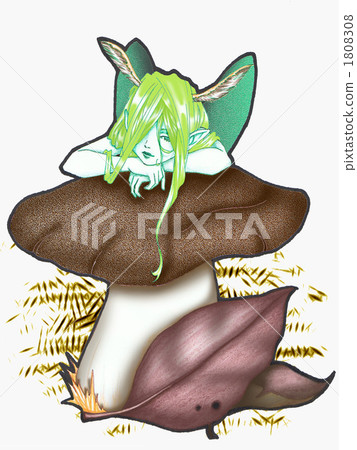 fairy, mushroom, mushrooms 1808308