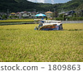 Rice Ceremony of Awajishima (Awaji Rice) 1809863