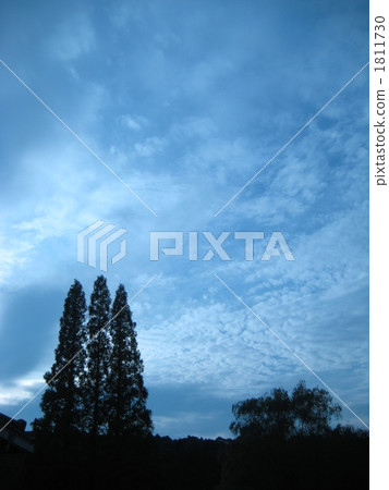 雲彩 雲 樹木 1811730