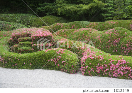 Ooikeji garden Ooikeji garden 1812349