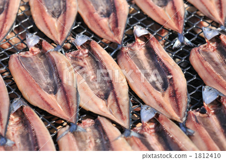 幹劍魚 幹劍魚 1812410