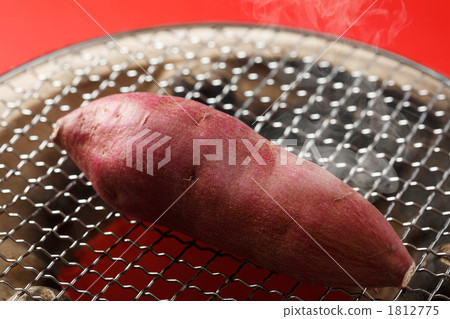  Sweet potato 1812775