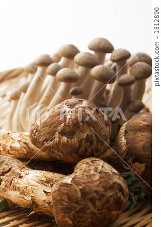 Matsutake和shimeji Matsutake和shimeji 1812890