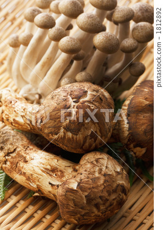 Matsutake和shimeji Matsutake和shimeji 1812892
