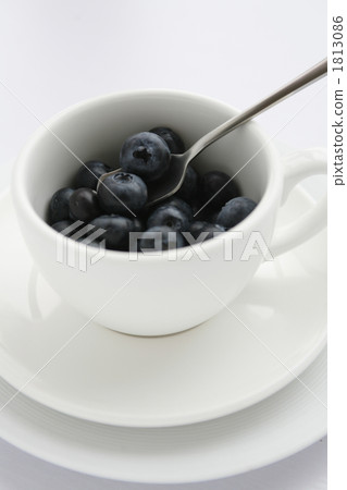 blueberry 1813086