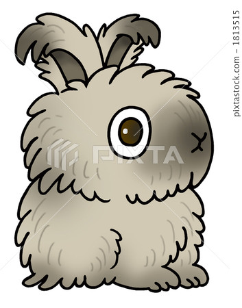 安哥拉兔（灰色） 1813515