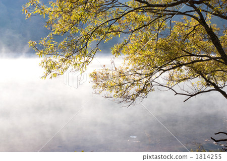 Watersides of Oze and Marunuma in autumn Watersides of Oze and Marunuma in autumn 1814255