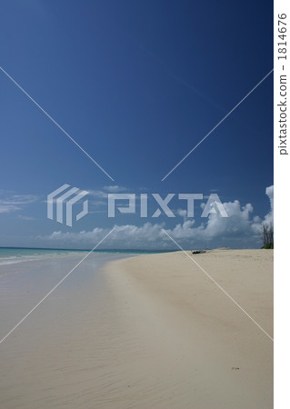 前浜海灘 沙灘 海岸 1814676
