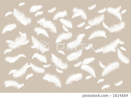 wing wing 1814884