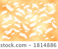 羽毛 1814886