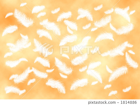 wing wing 1814886