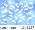 羽毛 1814887