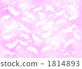 羽毛 1814893