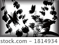 草花和蝴蝶 1814934