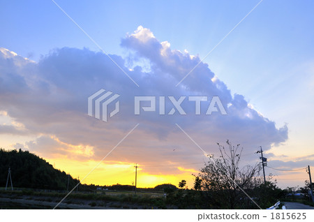 Usagi圖像3 Usagi圖像3 1815625