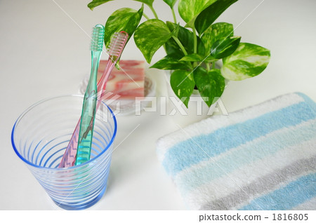 Wash Basin 3 1816805