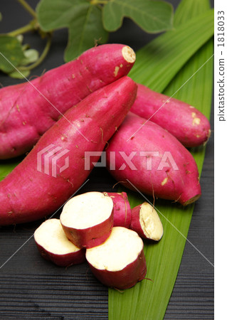 秋天的成分 1818033