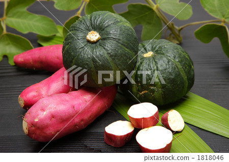 Fall ingredients Fall ingredients 1818046