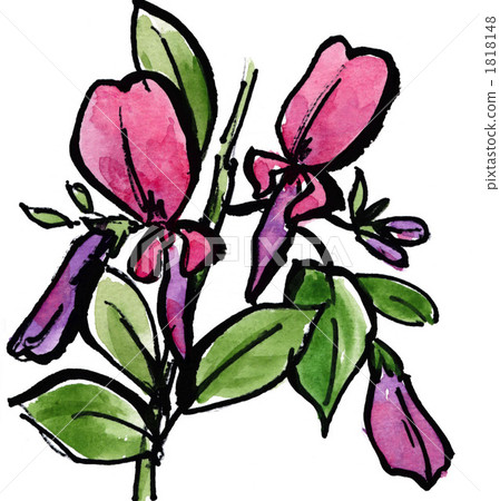 H花109pix。 H花109pix。 1818148