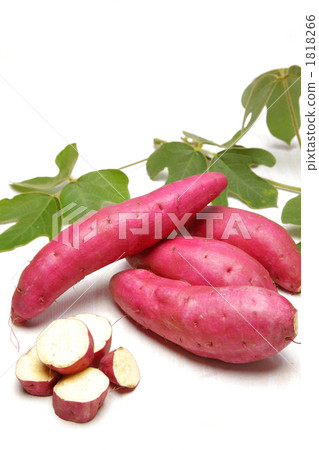 秋天的成分 1818266