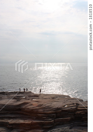 風景 海灣 月桂樹 1818510