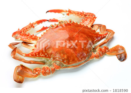 Boiled crayfish Boiled crayfish 1818590