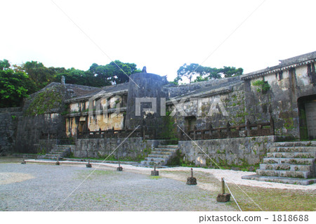 Okinawa Tamaillin 1818688